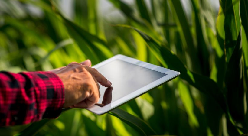 farm-consulting-service